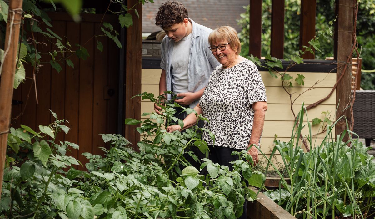 Choosing the Right Compost for Patio Pots