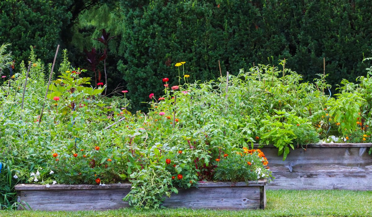 How to Prepare Heavy Clay Soil for Spring Planting