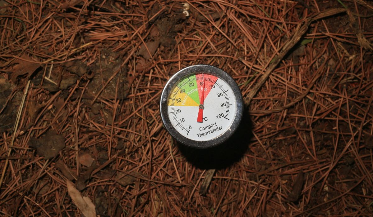 Maintaining a Lawnmower for Spring Growth